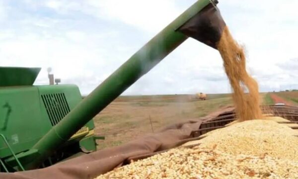 Fiagro VGIA11 desaba 25% após inadimplência de CRA; gestora vê reação “irracional”