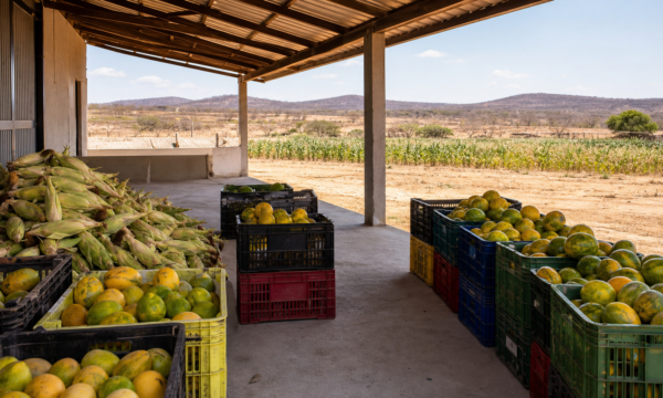 Bahia recebe lançamento do Plano Safra da Agricultura Familiar 2026/27