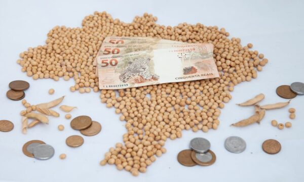 Poucos negócios, alterações pontuais: como ficaram os preços da soja?