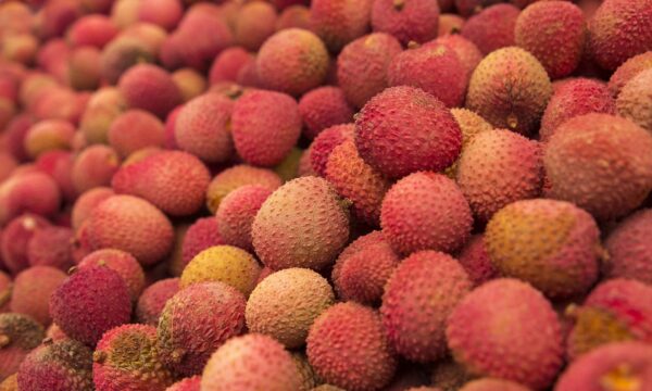 Mercado internacional amplia oportunidades na produção da lichia paulista