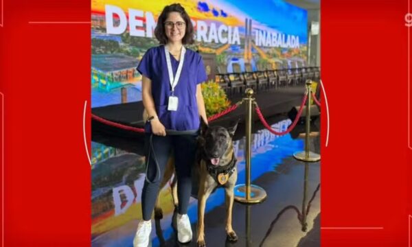 Morre veterinária atacada por cão do Senado