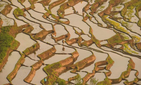 China reduz importação de alimentos e amplia produção agrícola