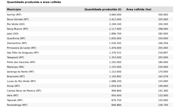 Onde estão os 20 maiores produtores de milho do Brasil? Veja o ranking
