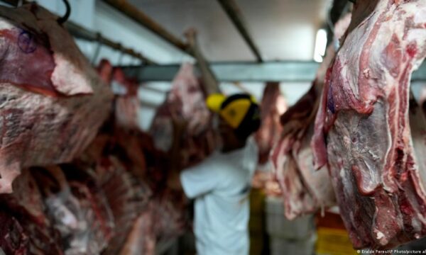 Brasil pode ficar com até 40% da nova cota de importação de carne bovina dos EUA; entenda
