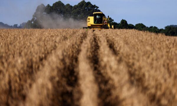 Corte na Selic traz alívio pequeno ao endividado setor do agronegócio, diz Zera