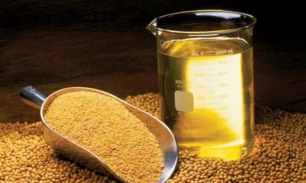 Abiove eleva previsão para exportação de óleo de soja e processamento cresce 8,3%