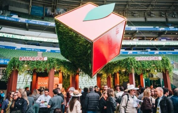 Neutralidade de carbono: os caminhos do agro para se adaptar até 2050