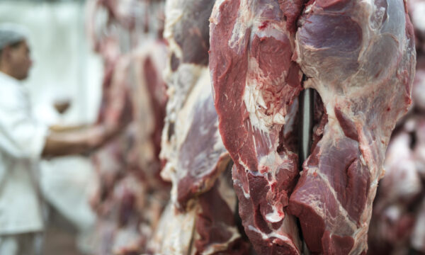 Arroba do boi sobe, mas exportações de carne têm queda de 29% no início de setembro