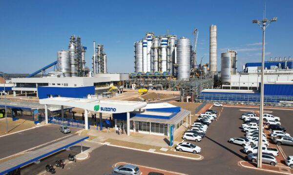 Suzano identifica 388 mil hectares de áreas sensíveis à natureza em primeiro relatório TNFD