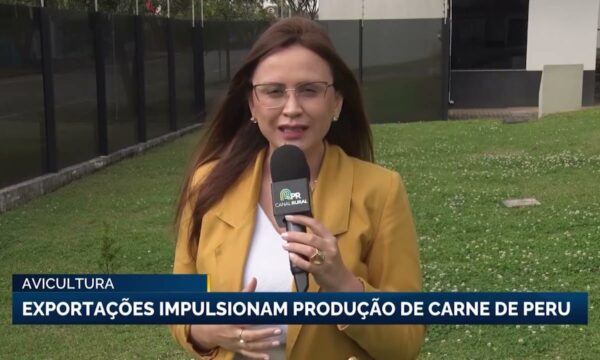 Produção de carne de peru no Brasil cresce após década de retração