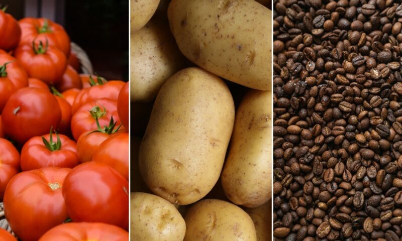 Preço dos alimentos: o que ficou mais caro e o que barateou na prévia da inflação de outubro