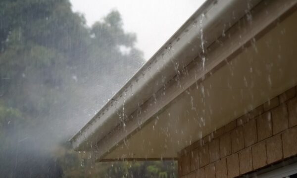 Chuva volta ao campo, mas Matopiba ainda depende de novas precipitações para avançar com a soja