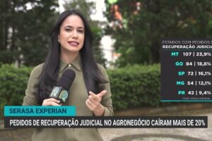 Pedidos de recuperação judicial no agronegócio caem 20% no 2º trimestre de 2026